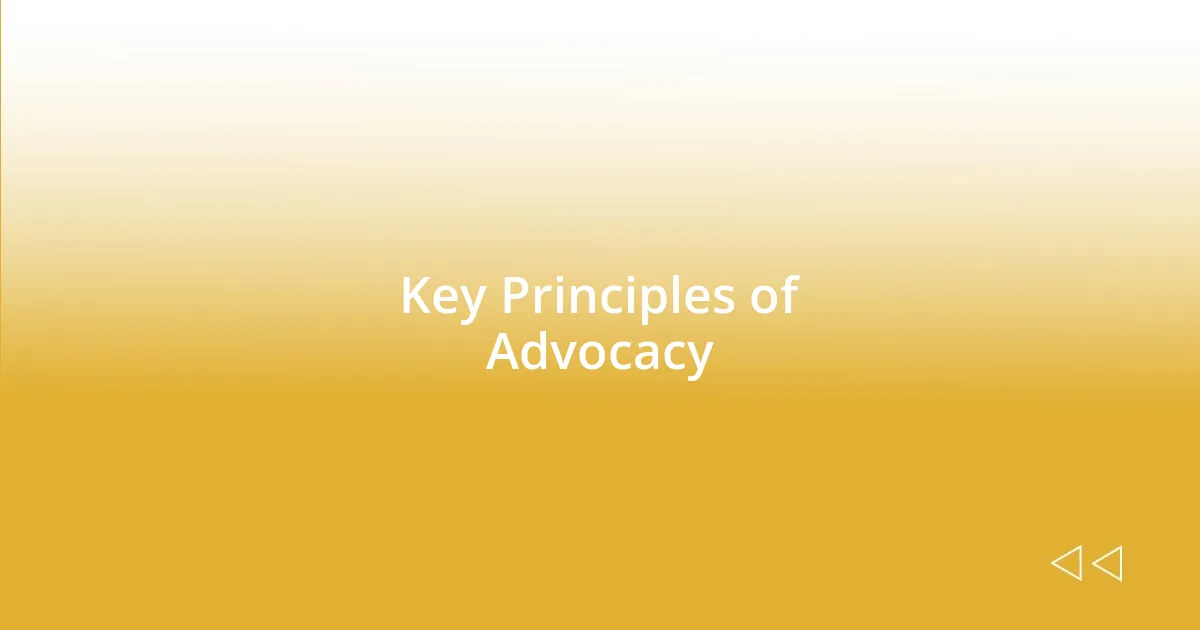 Key Principles of Advocacy